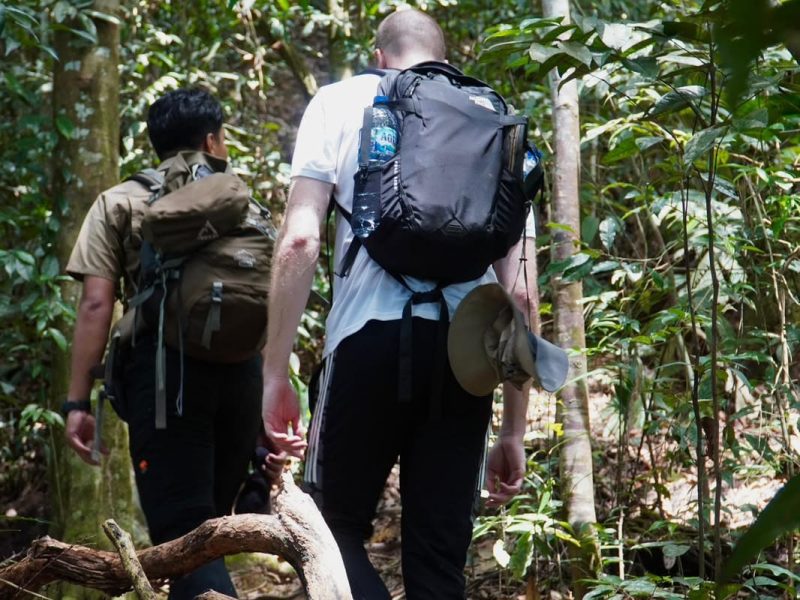 Gotravelsumatra jungle trekking (2)